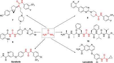 Synthesis and activity study of novel N,N-diphenylurea derivatives as IDO1 inhibitors